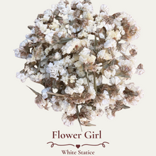 Load image into Gallery viewer, Dried Flower Wedding Confetti Bulk
