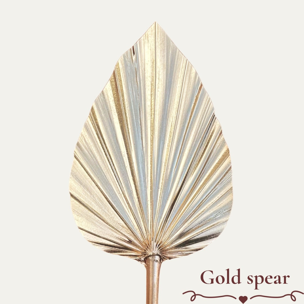 Spear Palm | natural palm | gold palm | pink palm