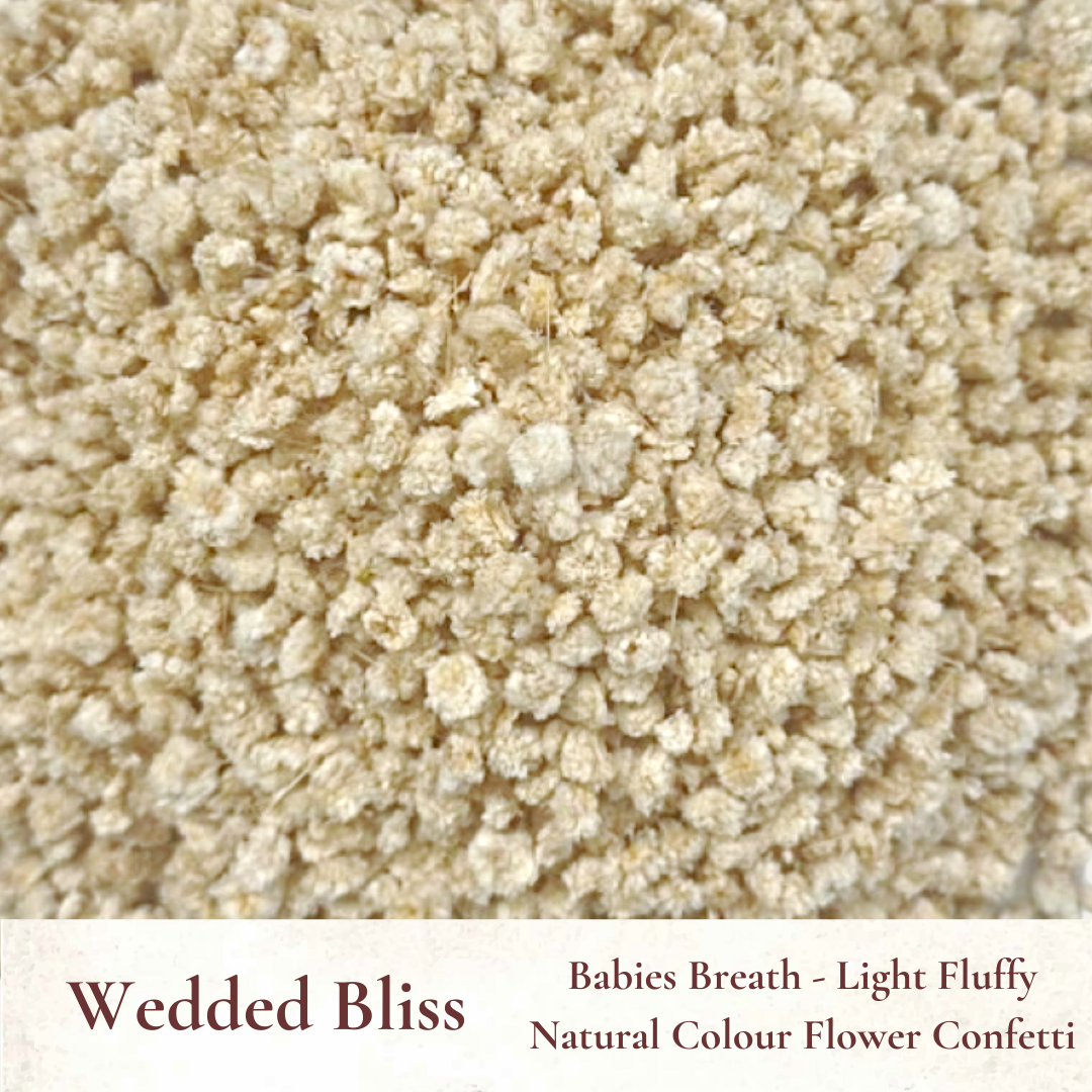 Dried Flowers Wedding Confetti – Wedded Bliss