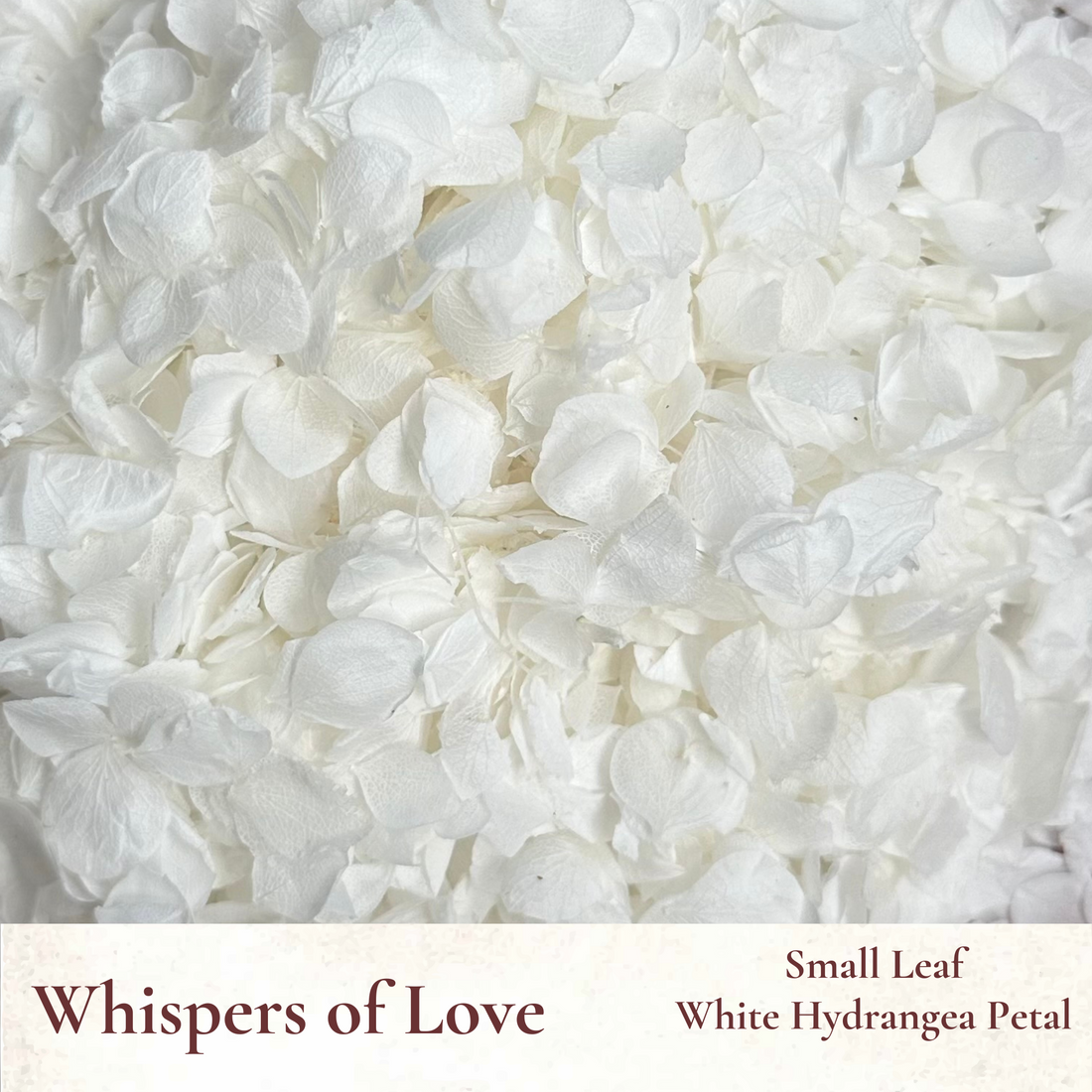 Dried Flowers Wedding Confetti – Whispers of Love