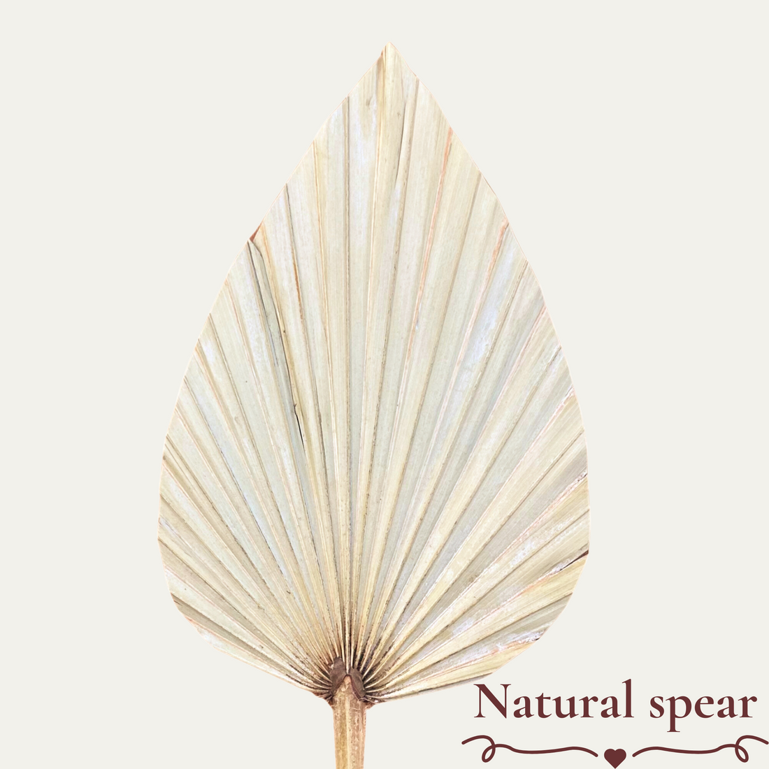 Natural Spear Palm Cake Topper Decoration